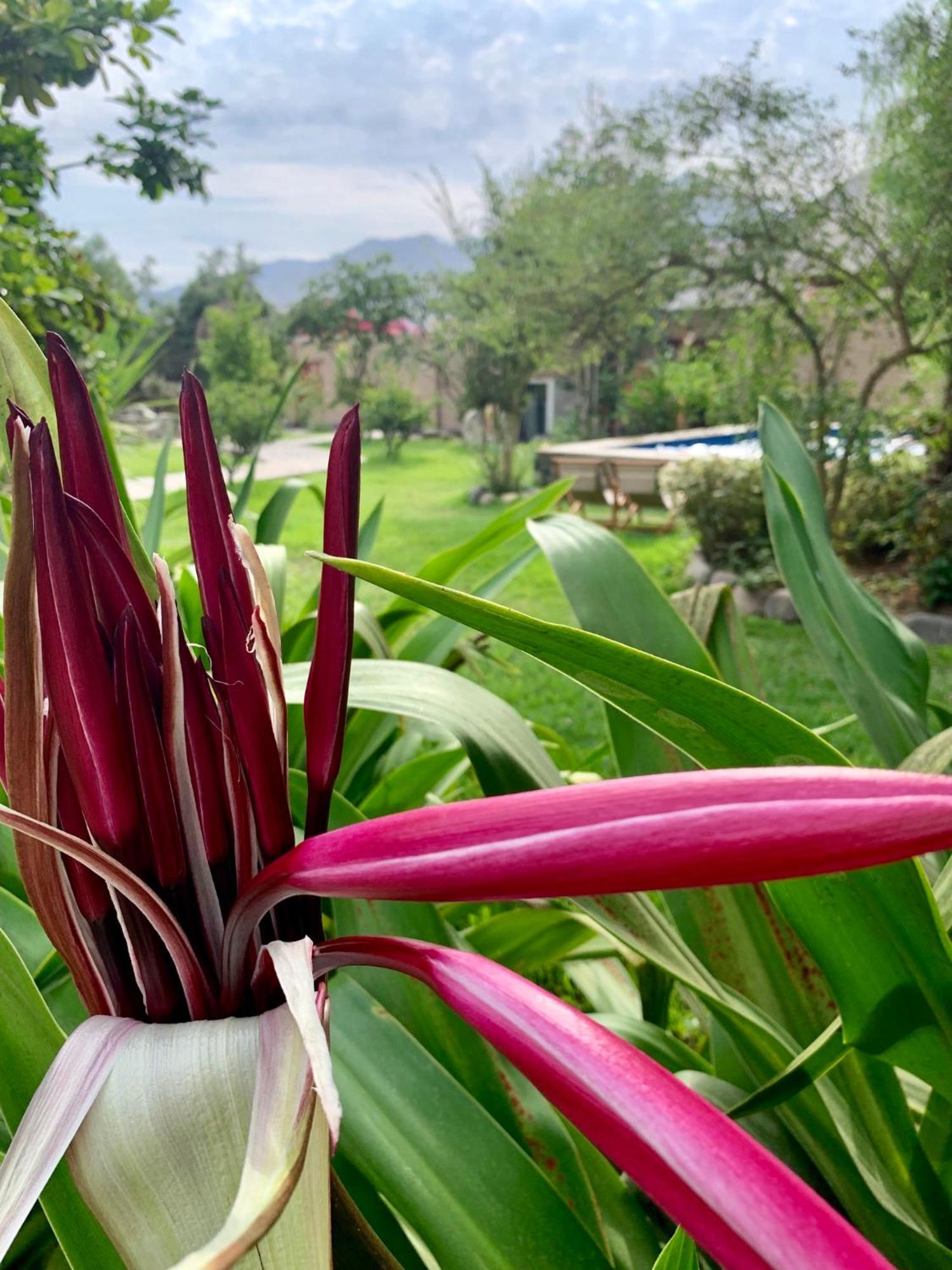 Refugio De Santiago Ecolodge Lunahuaná Екстериор снимка